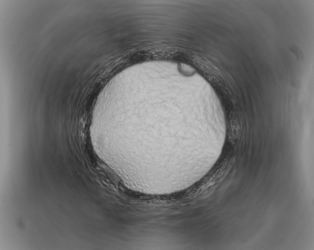 X0000113071010200909250924