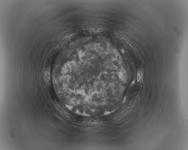 X0000113071011200909250924