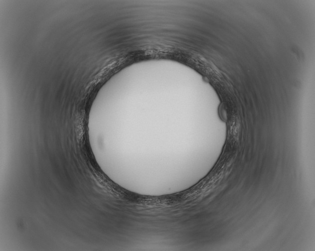 X0000113071012200909250925