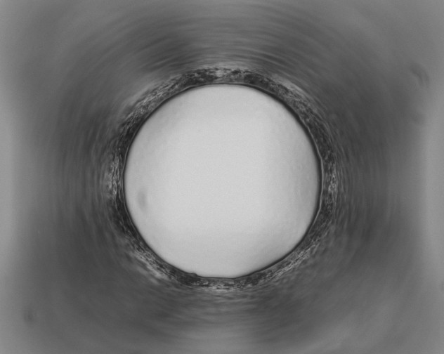 X0000113071014200909250925