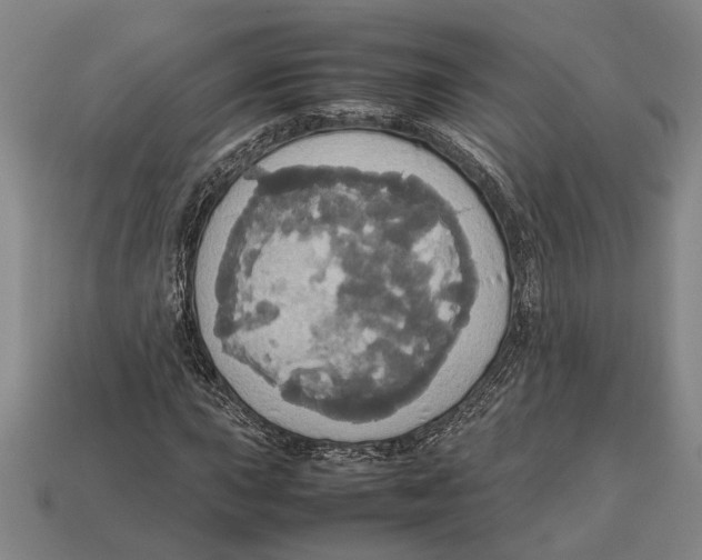 X0000113071015200909250925