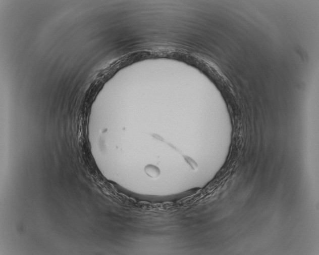 X0000113071016200909250925