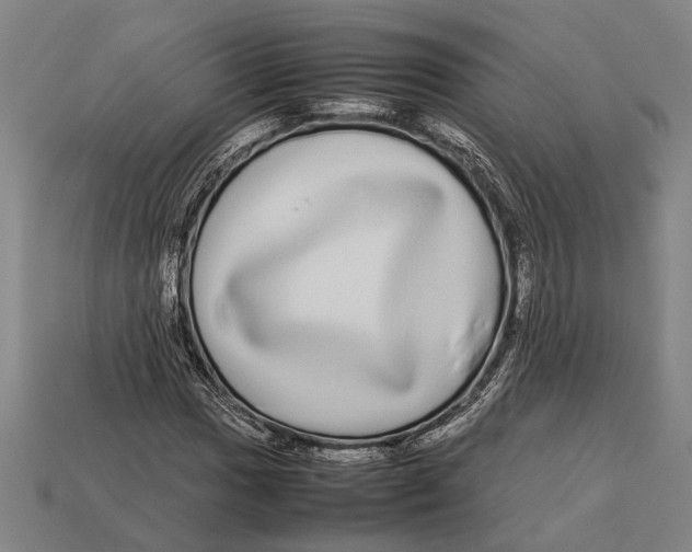X0000113071017200909250925