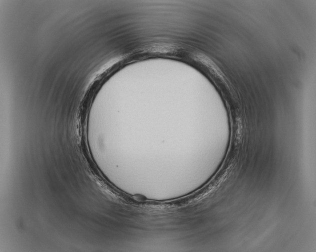 X0000113071018200909250925