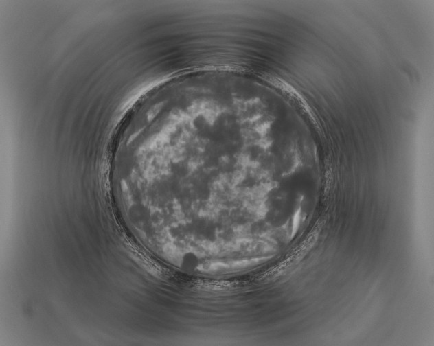 X0000113071019200909250925