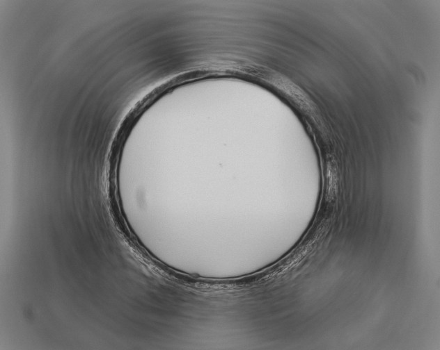 X0000113071020200909250925