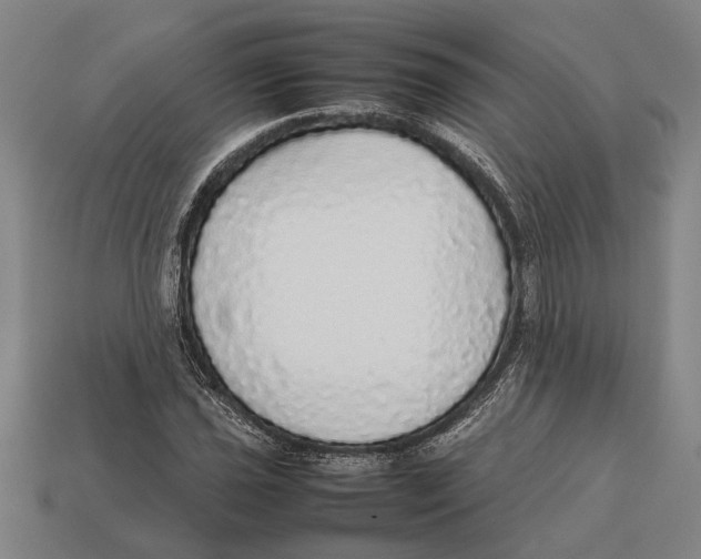 X0000113071021200909250925
