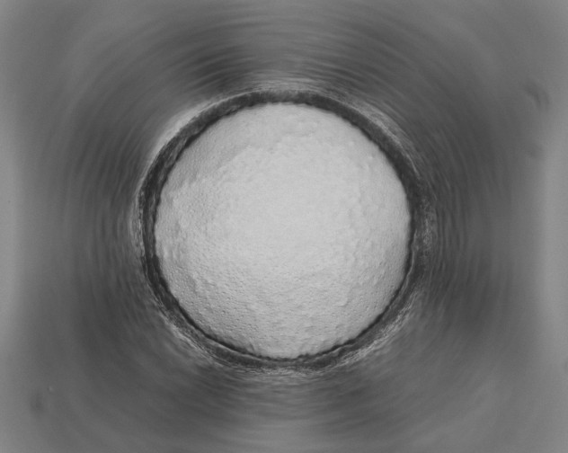 X0000113071022200909250925