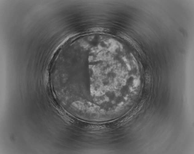 X0000113071023200909250925