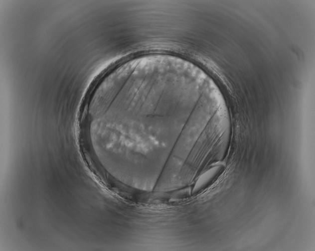 X0000113071024200909250925