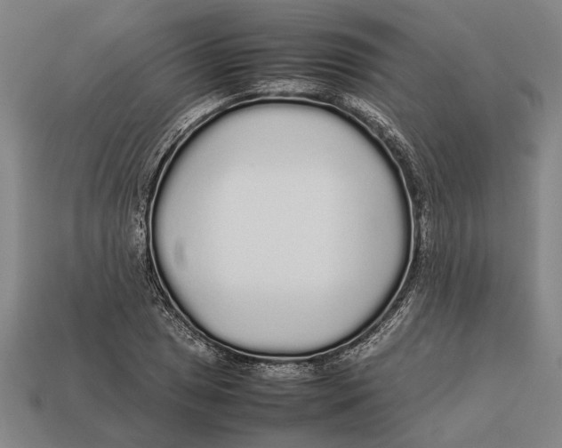 X0000113071025200909250925