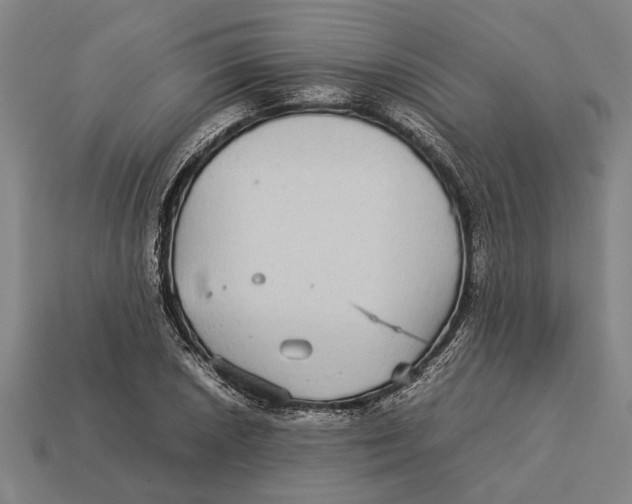 X0000113071026200909250925