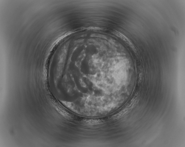 X0000113071027200909250925