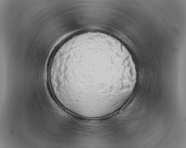 X0000113071028200909250925