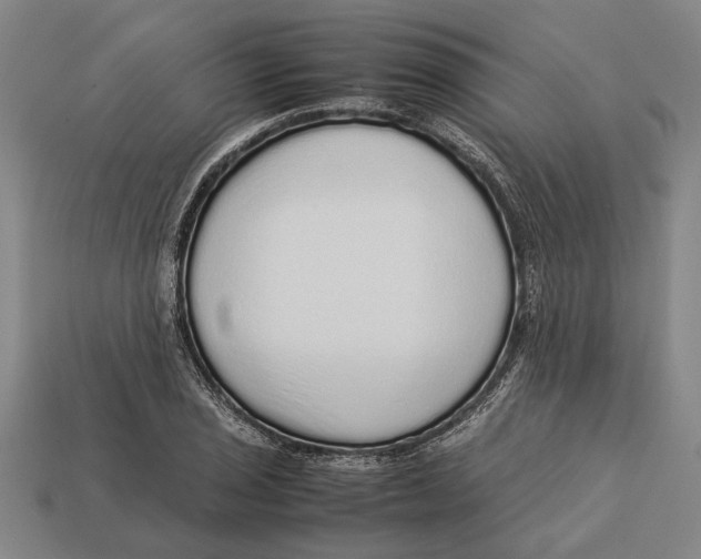 X0000113071029200909250925