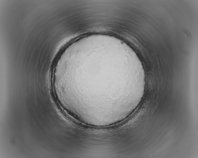 X0000113071030200909250925