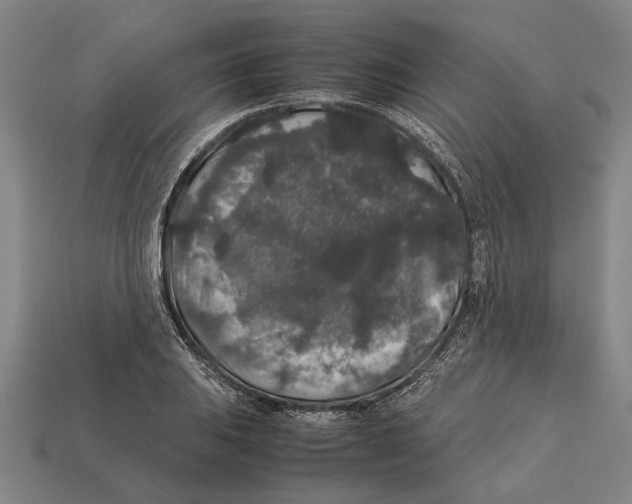X0000113071031200909250925
