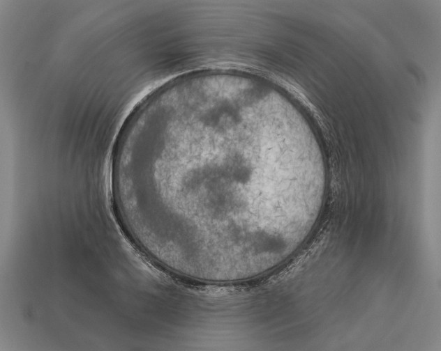 X0000113071032200909250925