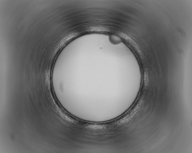 X0000113071033200909250925
