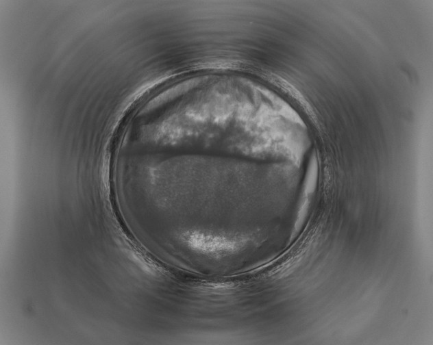 X0000113071035200909250925