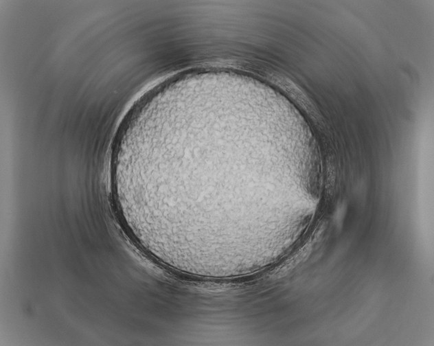 X0000113071036200909250925