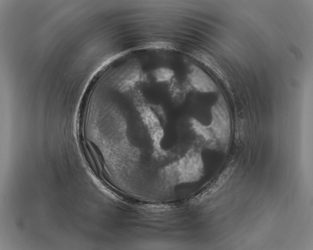 X0000113071037200909250925