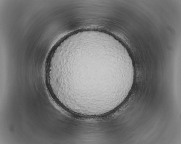 X0000113071038200909250925