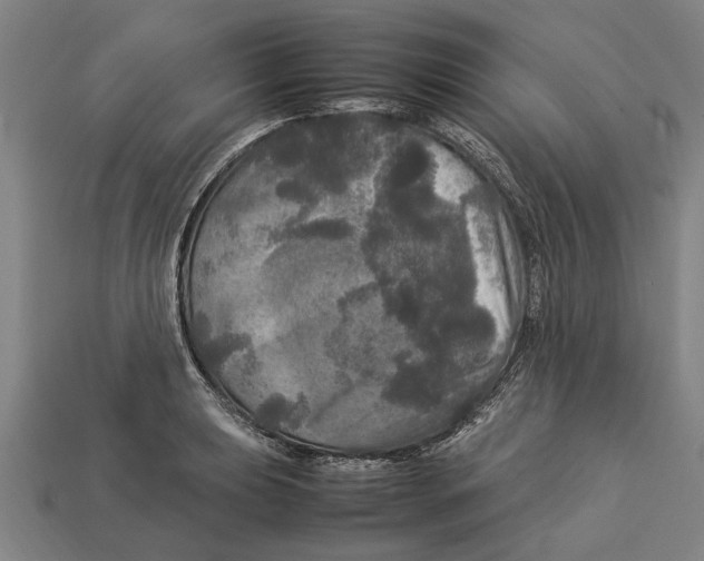 X0000113071039200909250925
