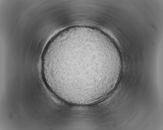 X0000113071040200909250925