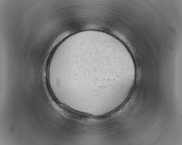 X0000113071042200909250925