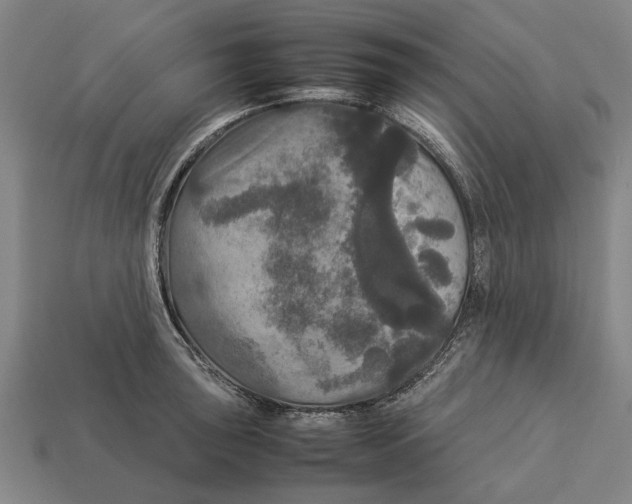 X0000113071043200909250925