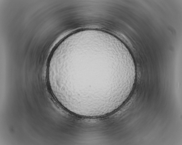 X0000113071044200909250925