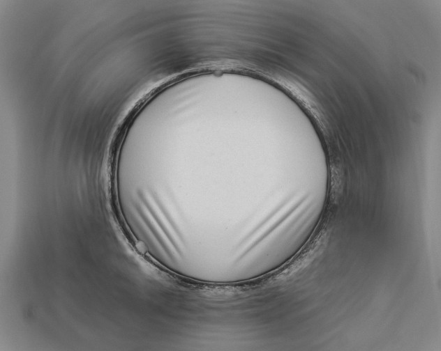X0000113071046200909250925