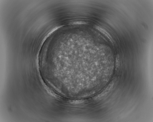 X0000113071047200909250925