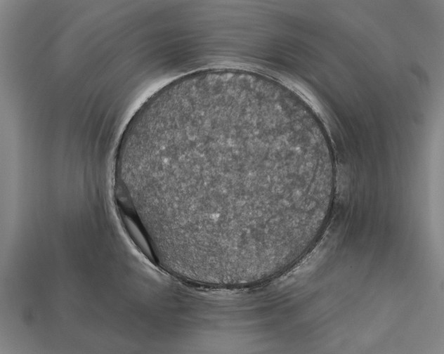 X0000113071048200909250925