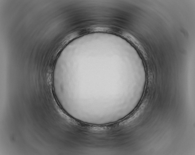 X0000113071049200909250925