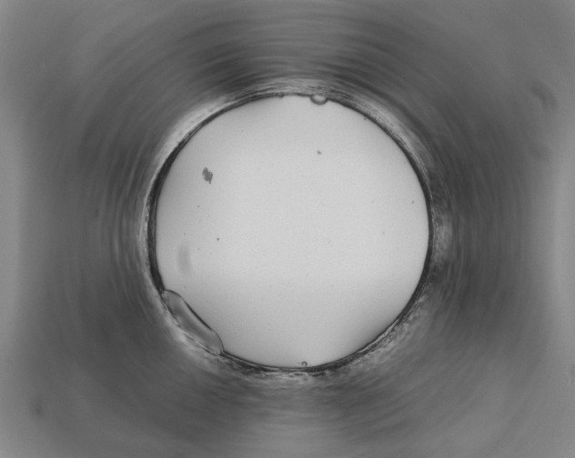 X0000113071050200909250925
