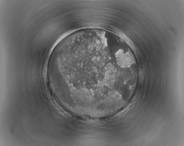 X0000113071052200909250925