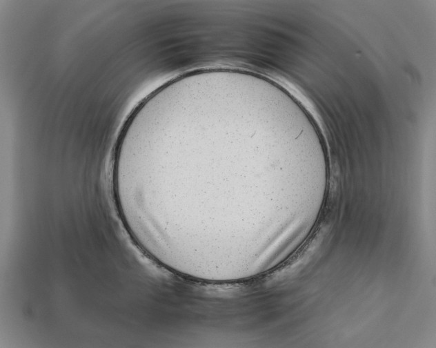 X0000113071053200909250925