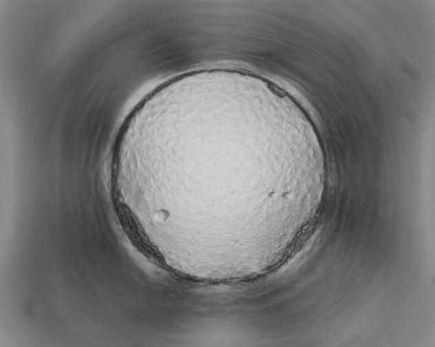 X0000113071054200909250925