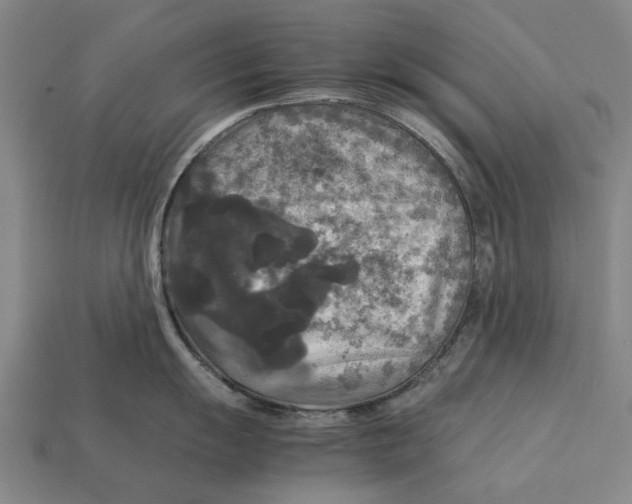 X0000113071055200909250925