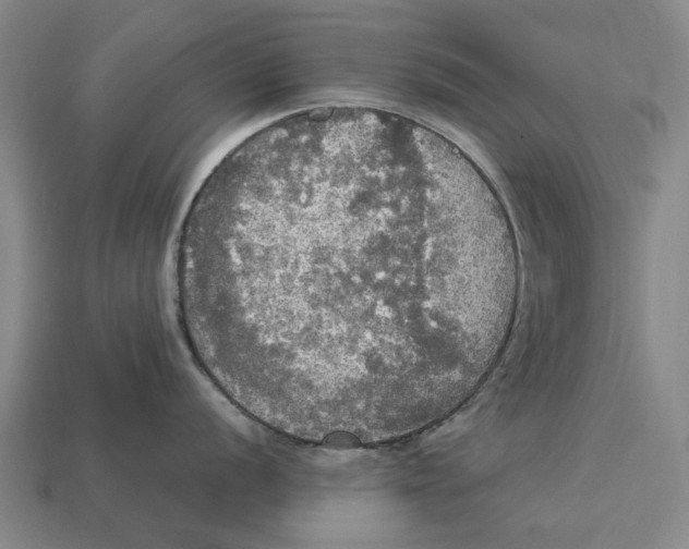 X0000113071056200909250925