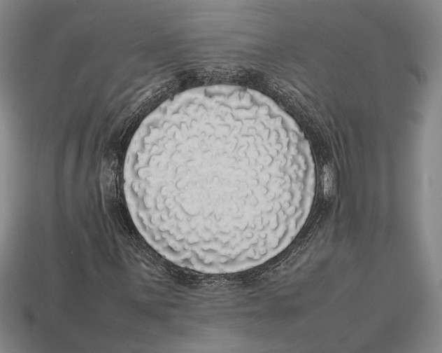 X0000113071059200909250924