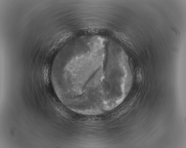 X0000113071060200909250924