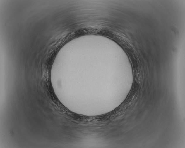 X0000113071061200909250924