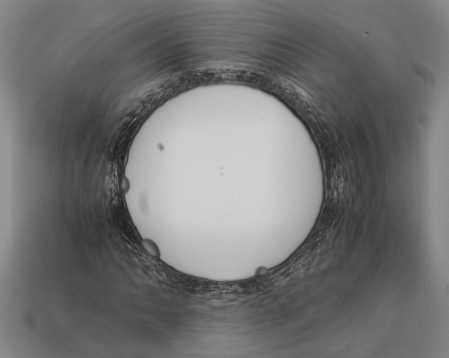 X0000113071062200909250924