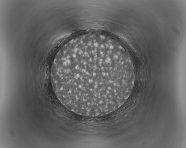 X0000113071063200909250924