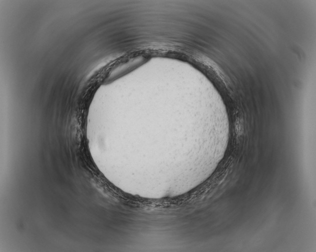 X0000113071064200909250924