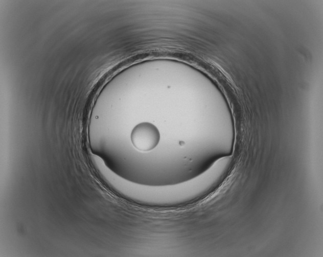 X0000113071065200909250924