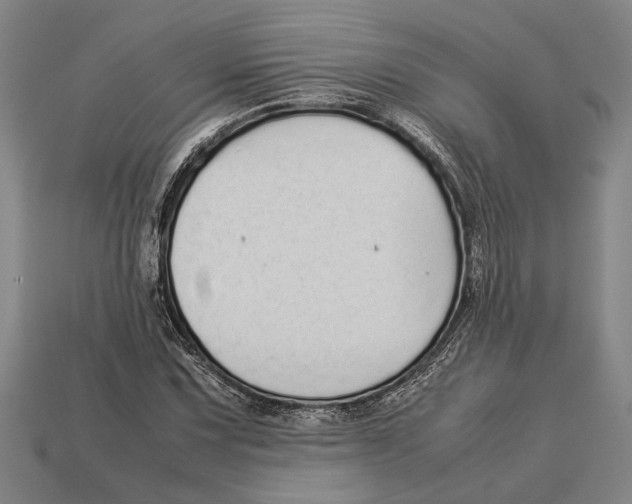 X0000113071067200909250924